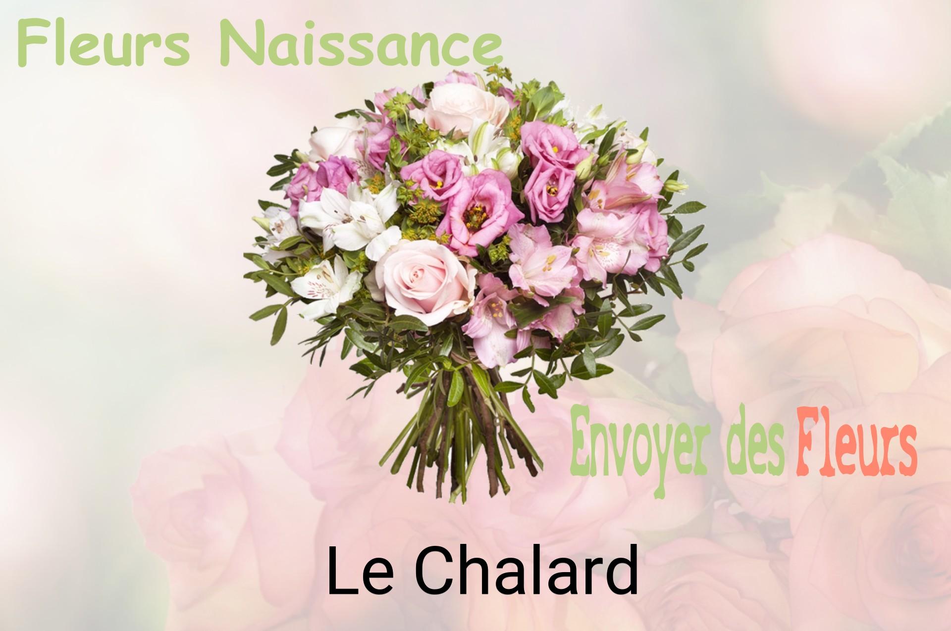 Bouquet de fleurs de naissance livré à Le Chalard